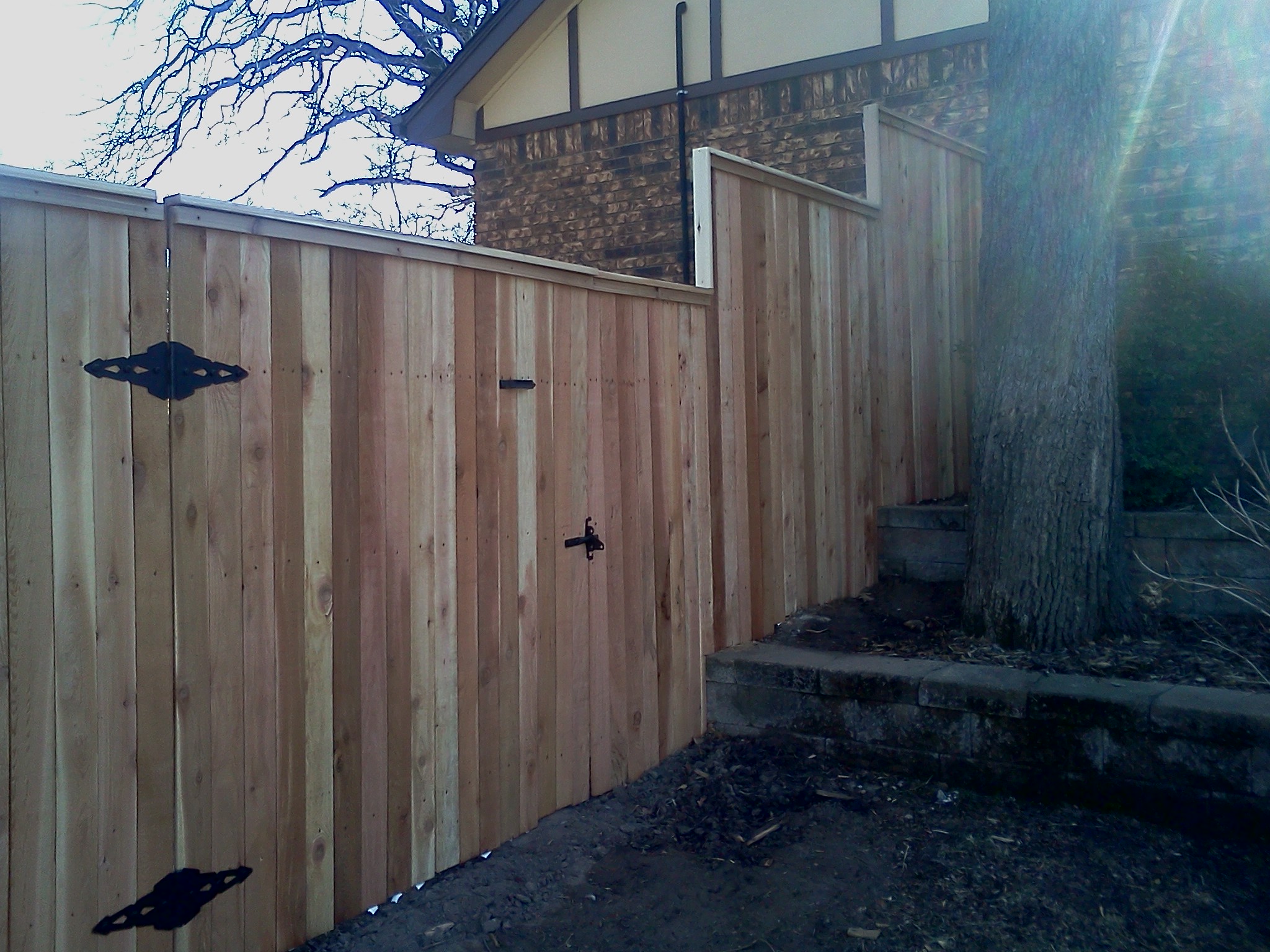 Cedar Fencing